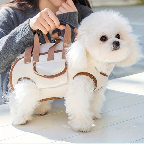Lightweight Dog Backpack Set with Adjustable Soft Straps - Image 7