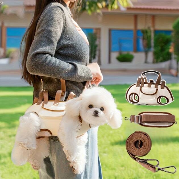 dog backpack