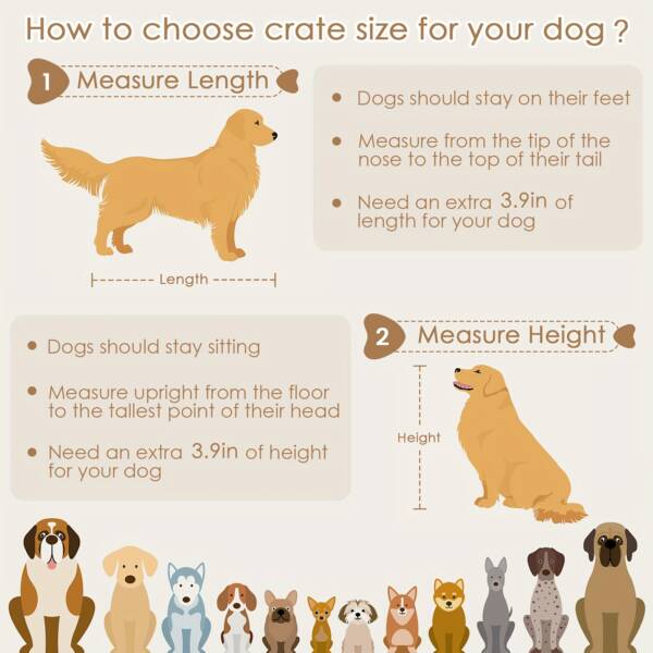 Dog Cage Small to Large | Foldable Metal Kennel with Tray - Image 4
