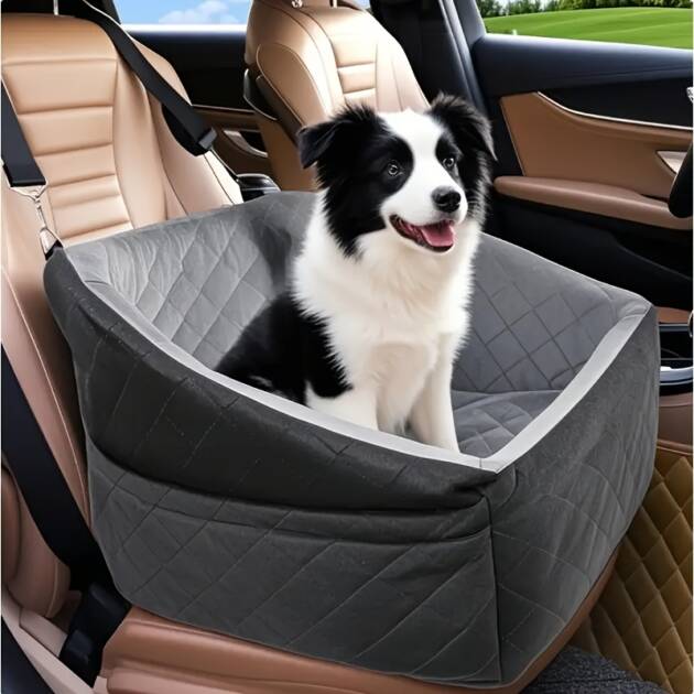 dog car carrier