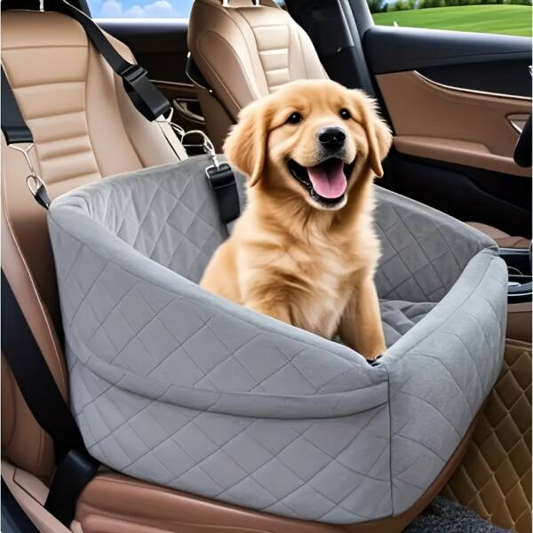 dog car carrier